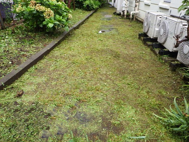 目黒住区 除草 清掃